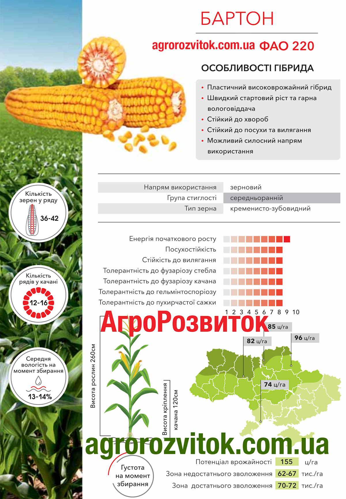 Кукурудза Бартон Арт-Агро