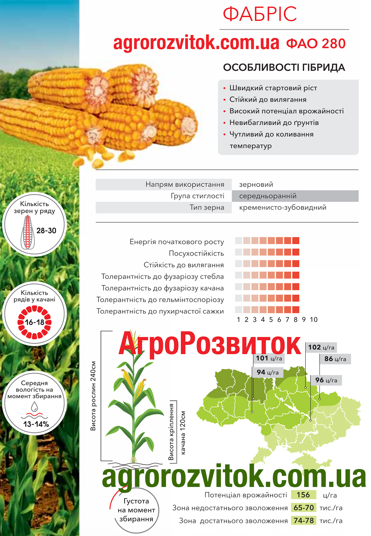 Кукурудза Фабріс Арт-Агро