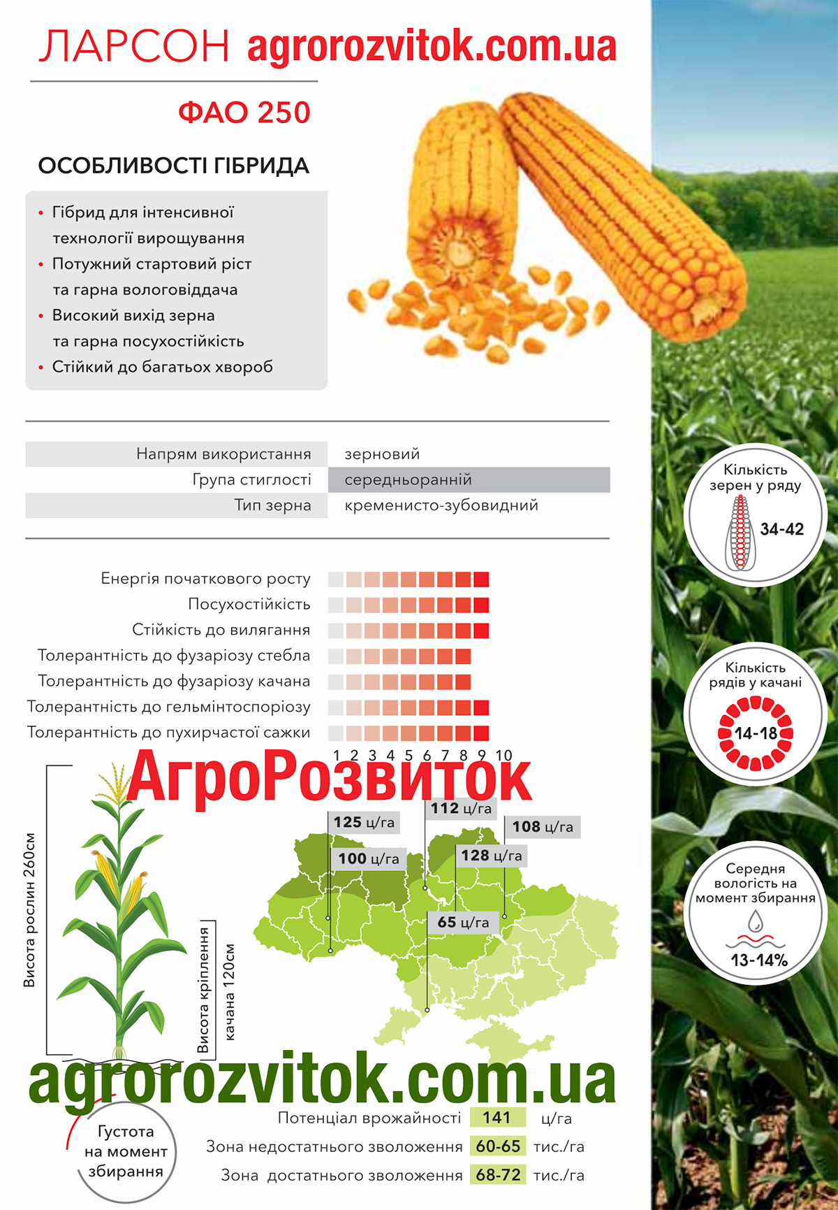 Кукурудза Ларсон Арт-Агро