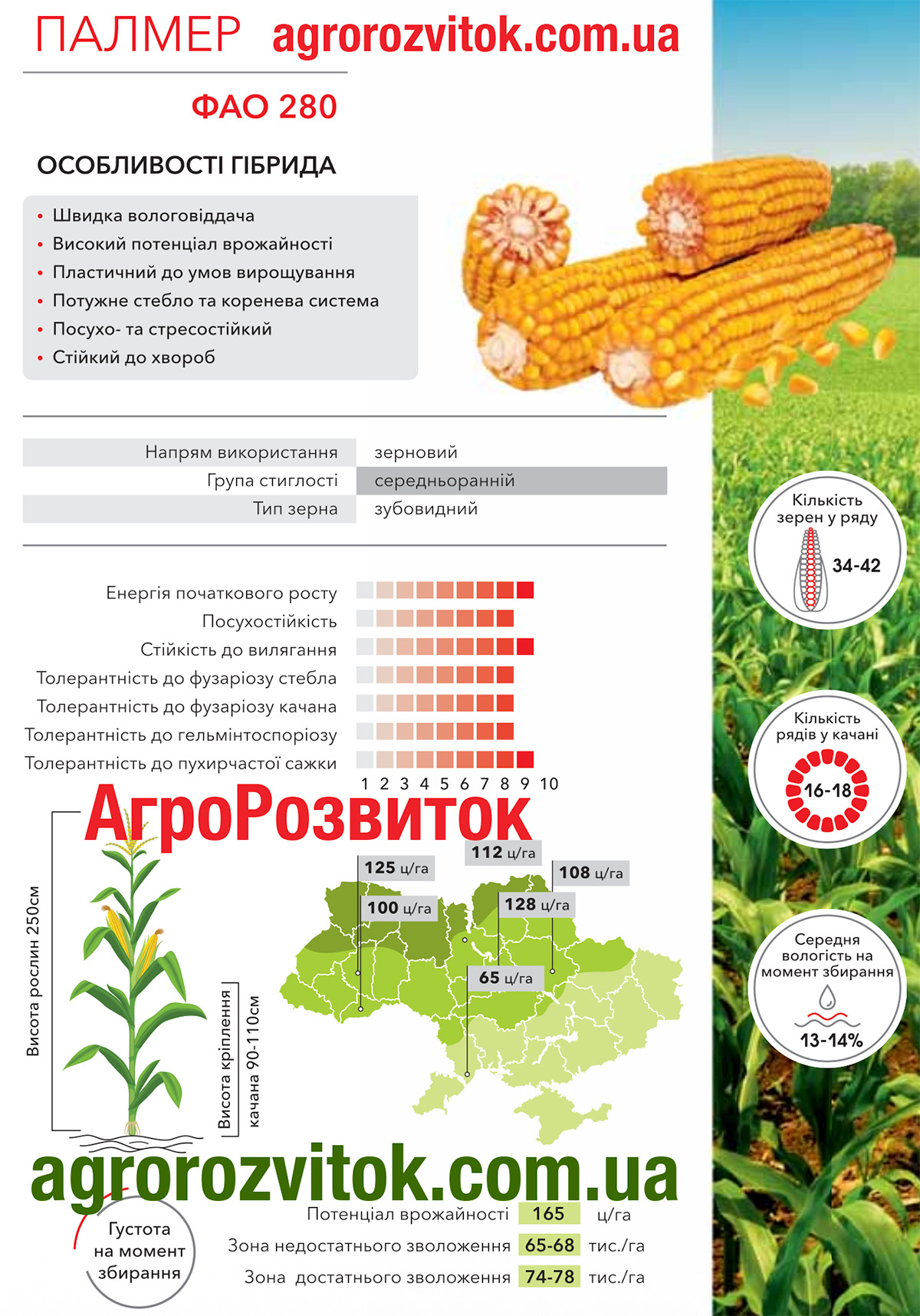 Кукурудза Палмер Арт-Агро