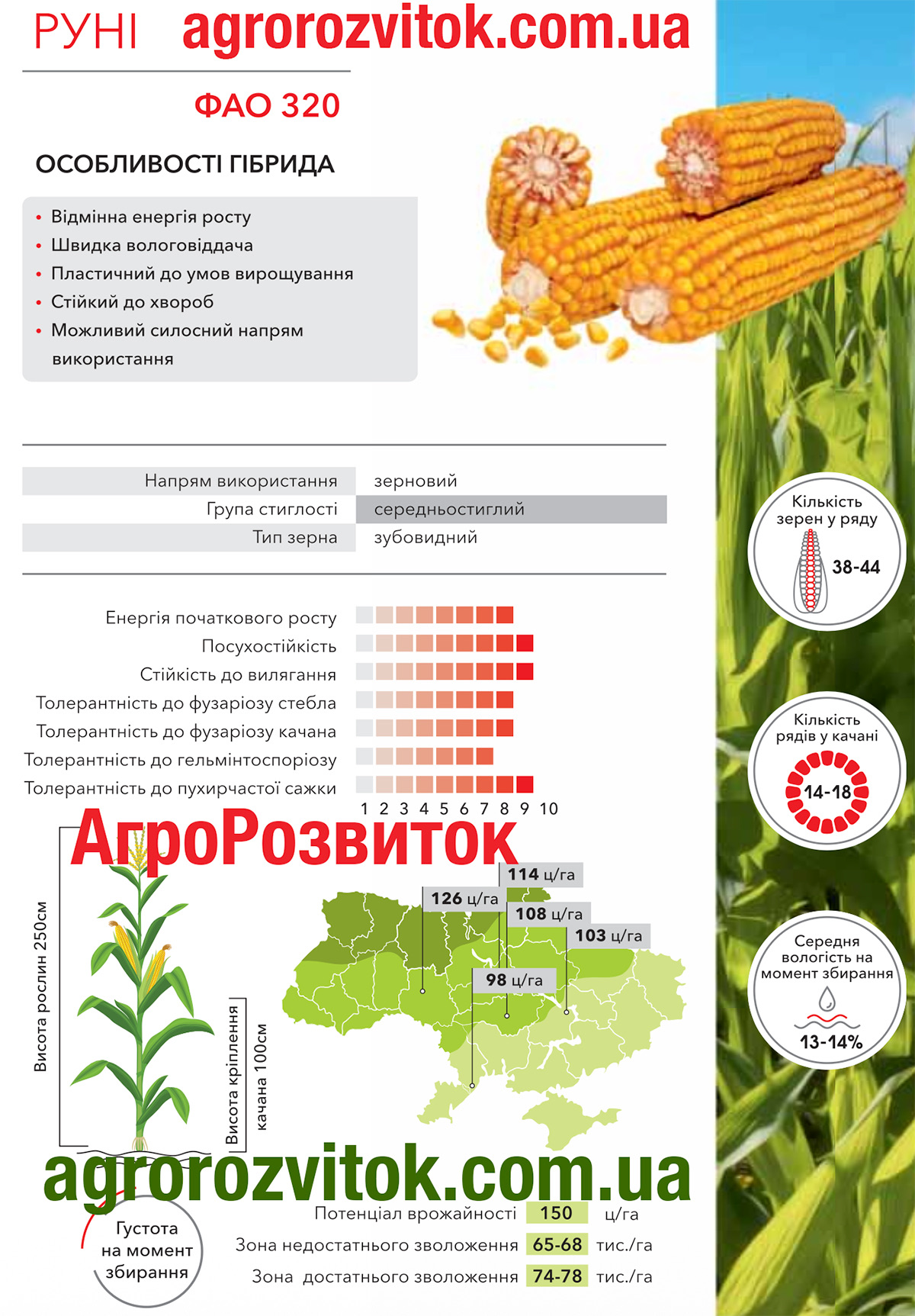 Кукурудза Руні Арт-Агро
