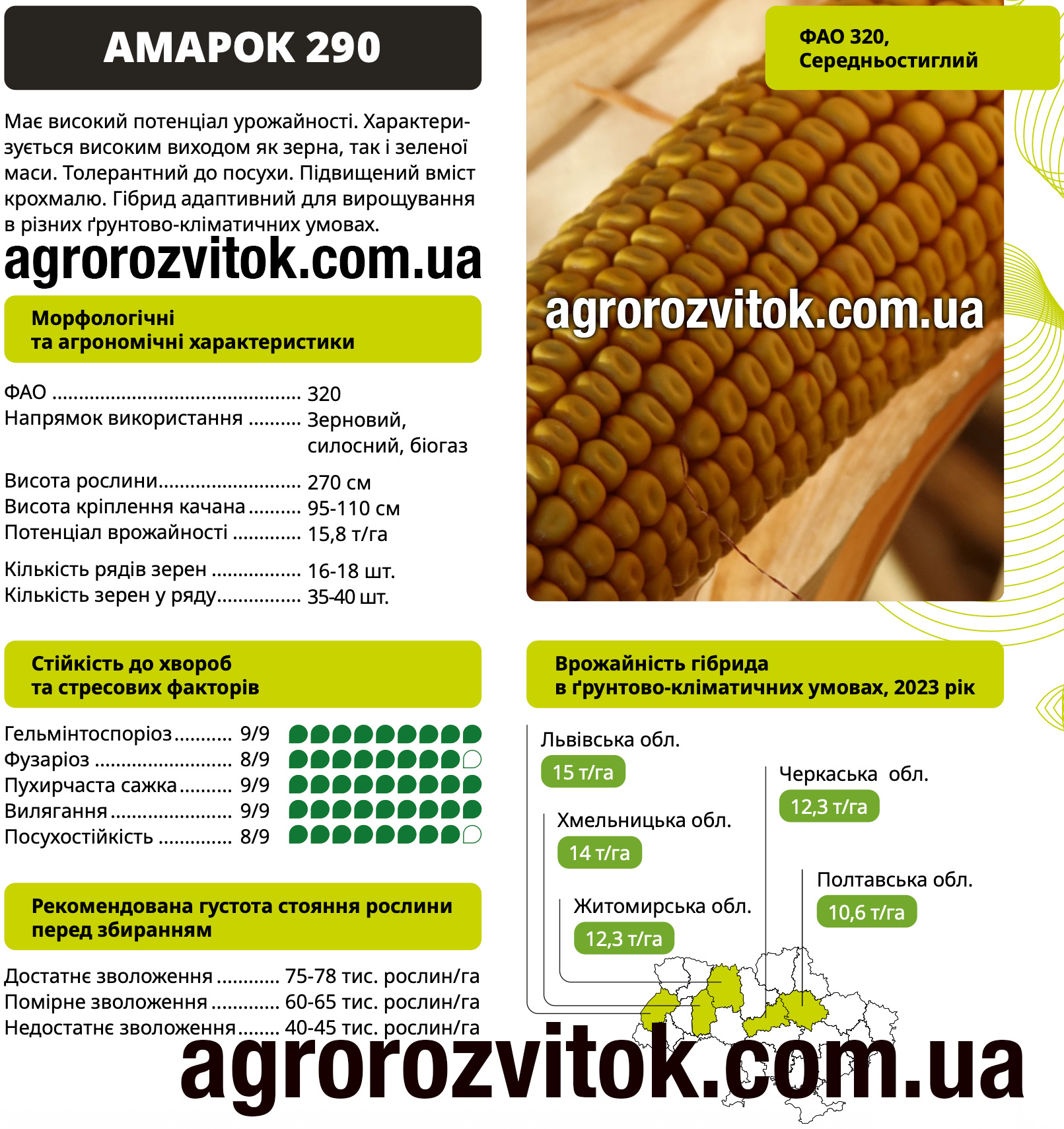 Насіння кукурудзи Амарок 290 ВНІС – ФАО 320, потенціал 15,8 т/га