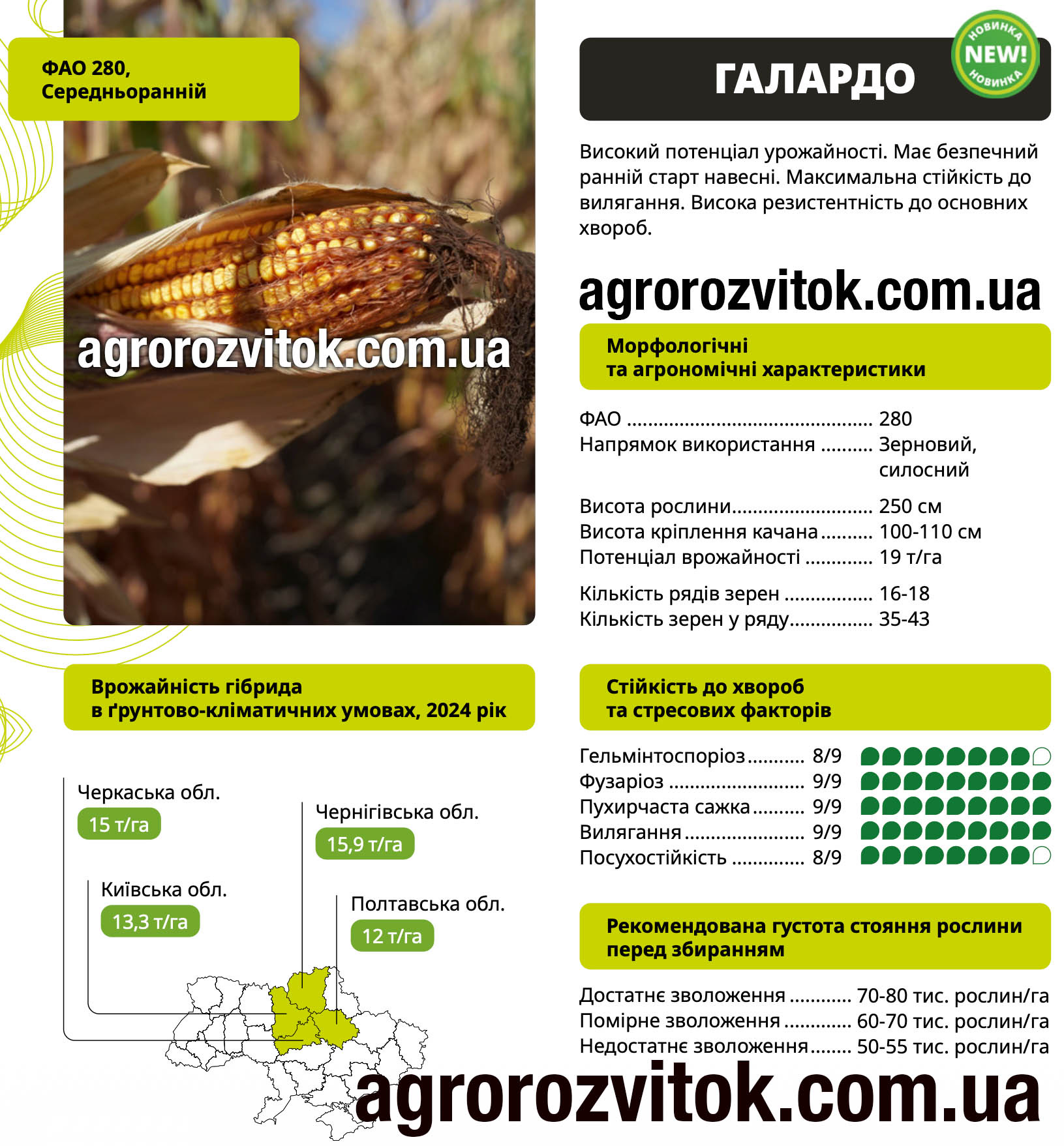 Насіння кукурудзи Галардо ВНІС – ФАО 280, потенціал 19 т/га