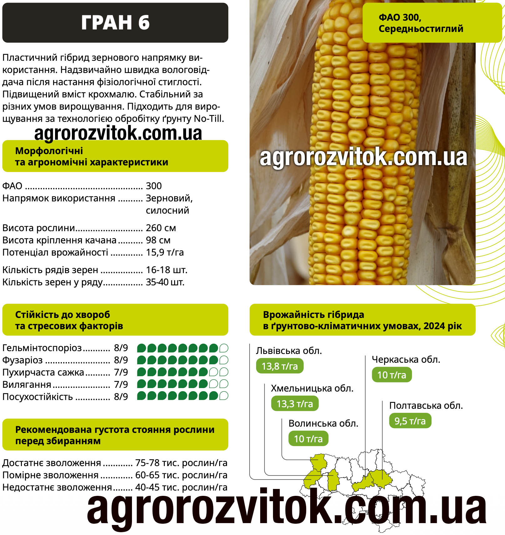 Насіння кукурудзи Гран 6 ВНІС – ФАО 300, потенціал 15,9 т/га