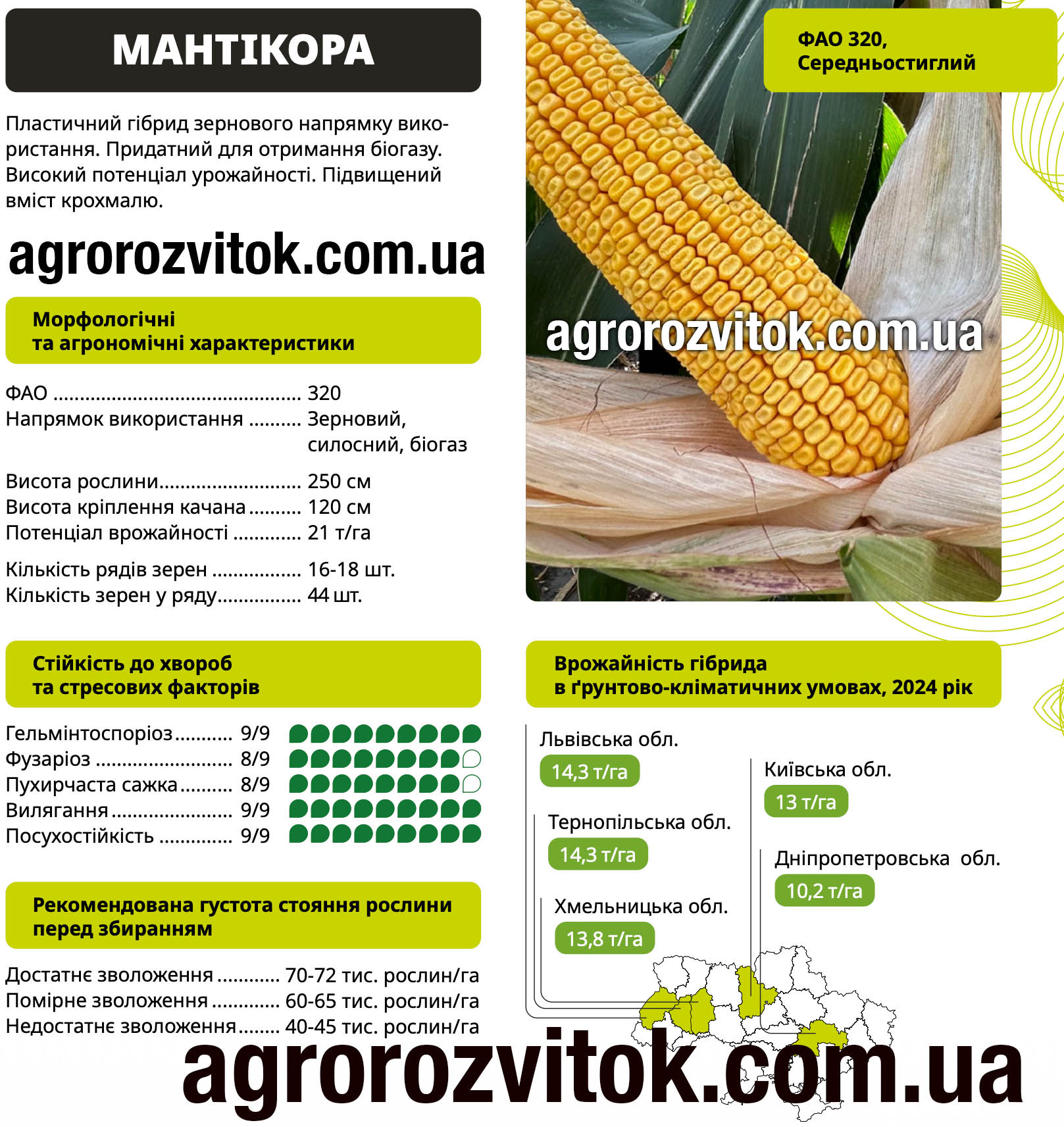 Насіння кукурудзи Мантікора ВНІС – ФАО 320, потенціал 21 т/га