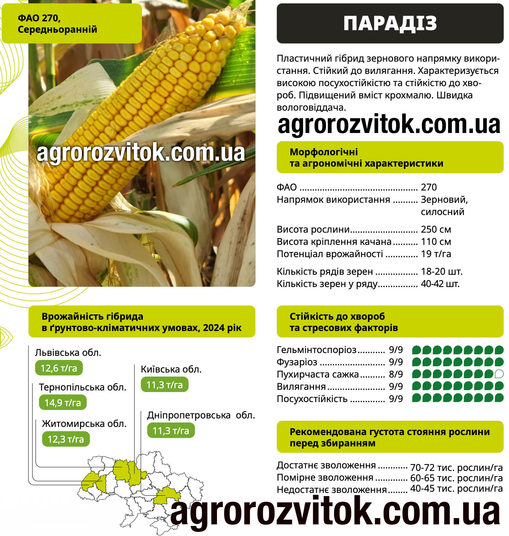 Насіння кукурудзи Парадіз ВНІС – ФАО 270, потенціал 19 т/га