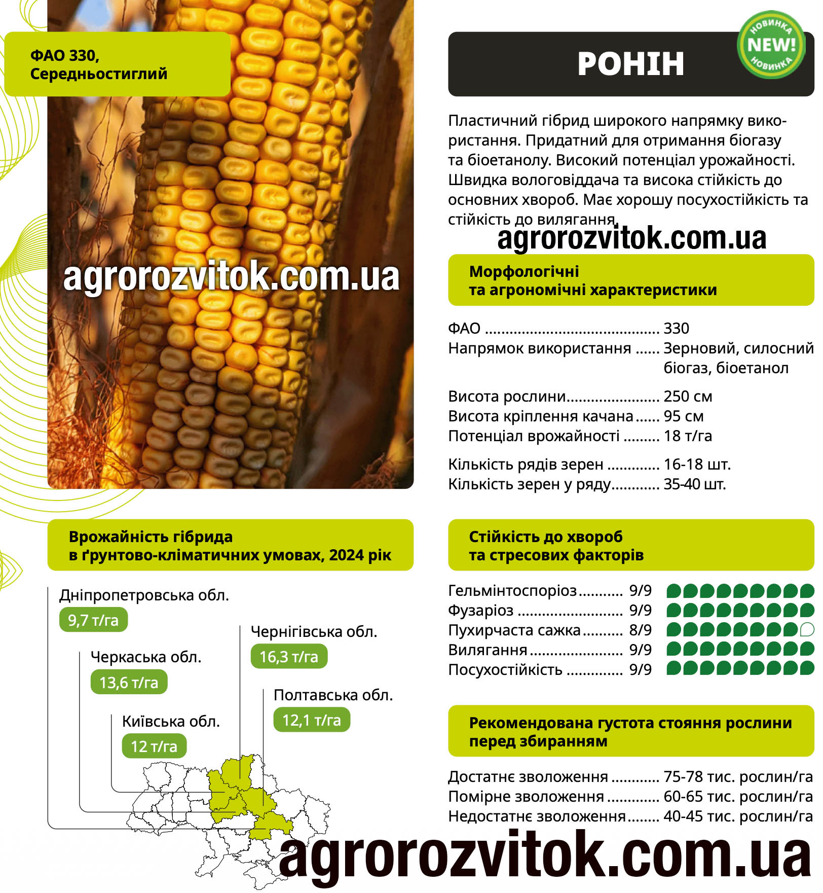 Насіння кукурудзи Ронін ВНІС – ФАО 330, потенціал 18 т/га