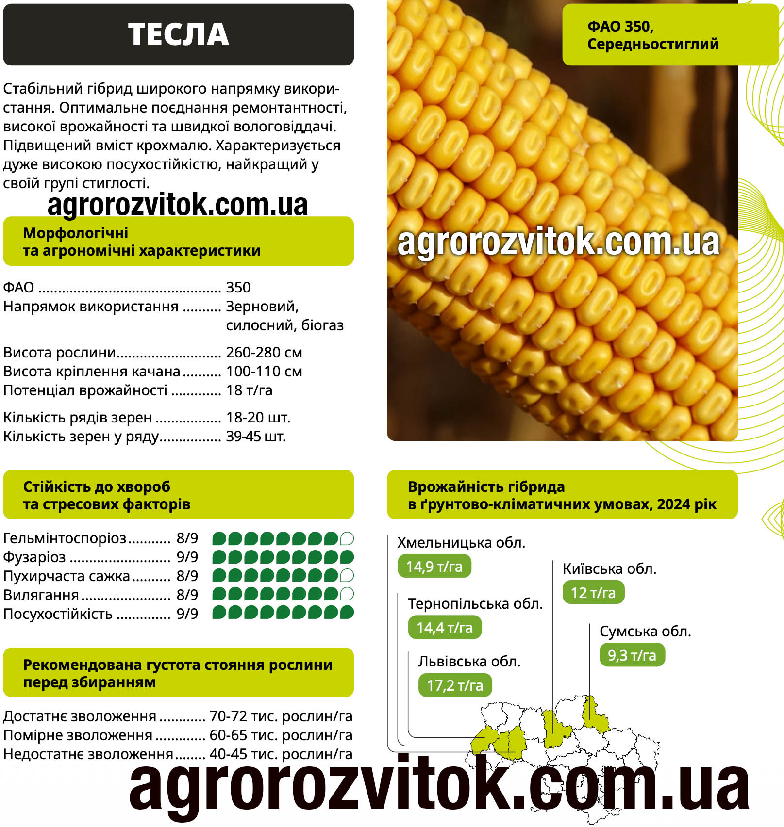 Насіння кукурудзи Тесла ВНІС – ФАО 350, потенціал 18 т/га