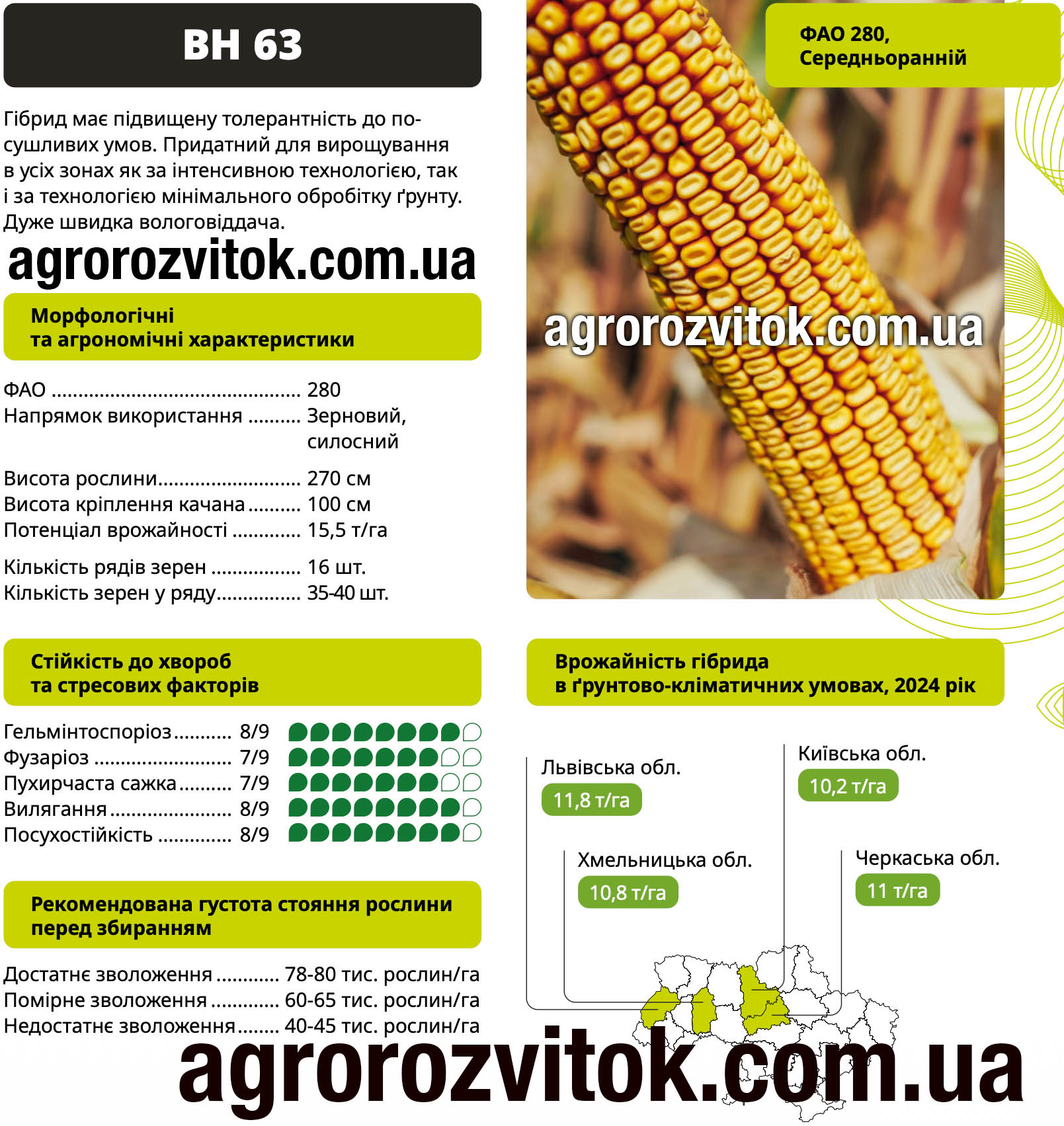 Насіння кукурудзи ВН 63 ВНІС – ФАО 280, потенціал 15,5 т/га
