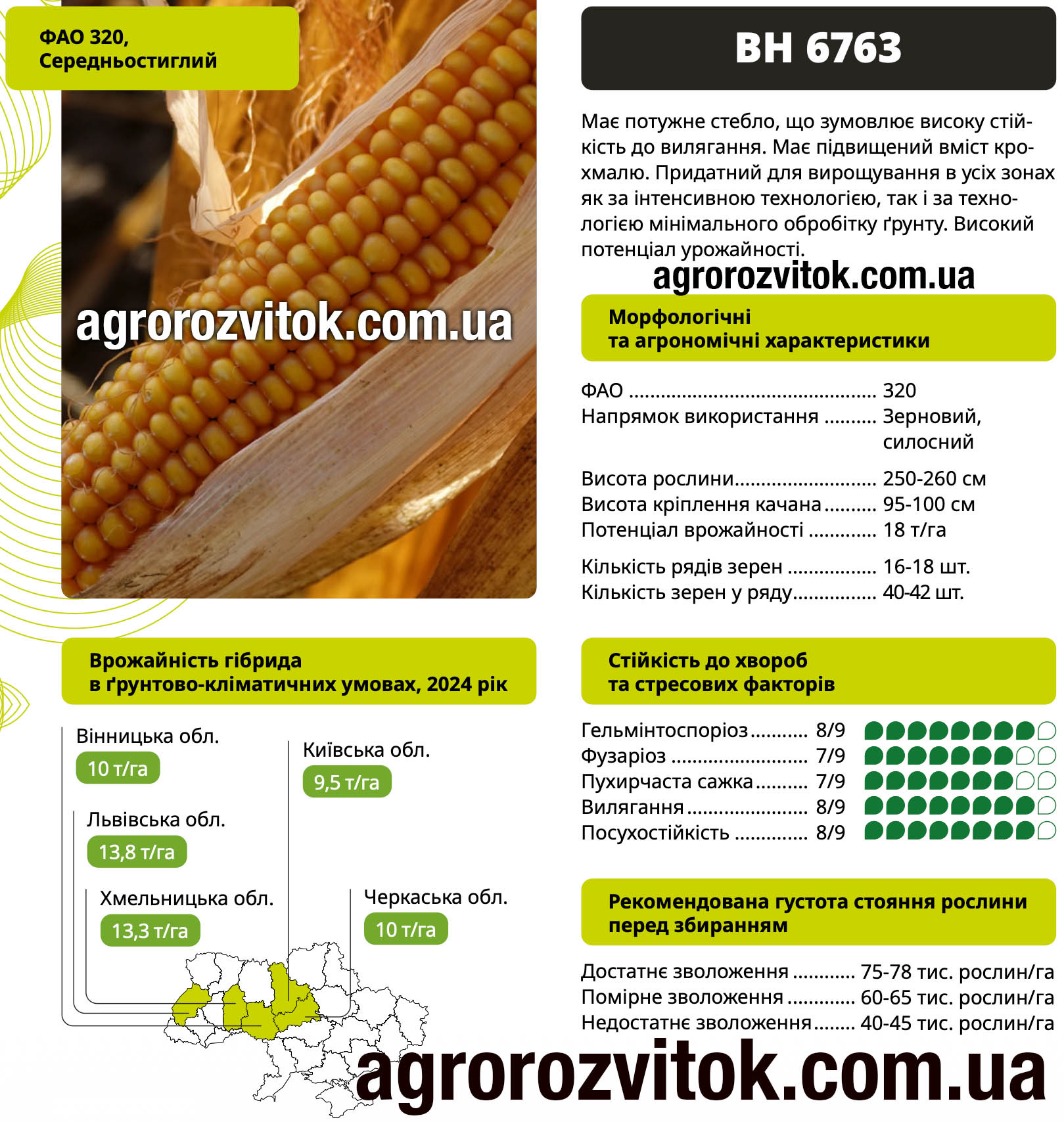 Насіння кукурудзи ВН 6763 ВНІС – ФАО 320, потенціал 18 т/га