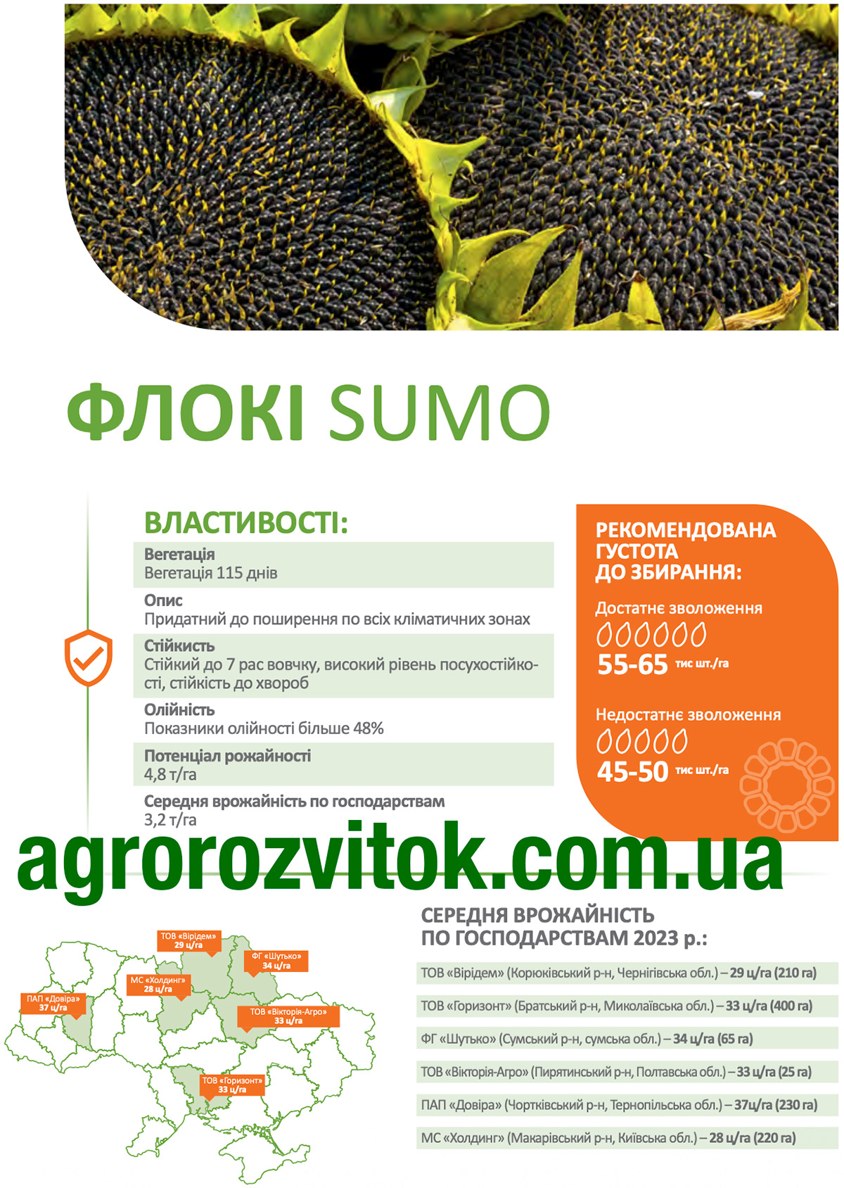 Флокі соняшник