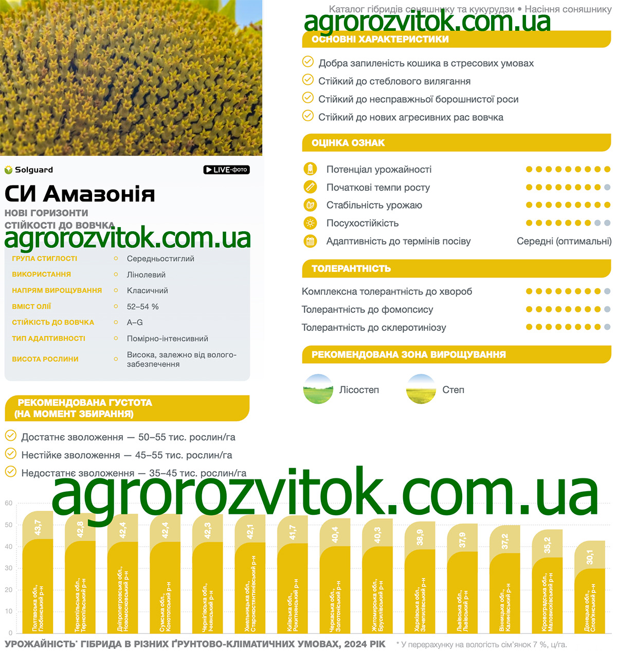 Соняшник Амазонія Сингента