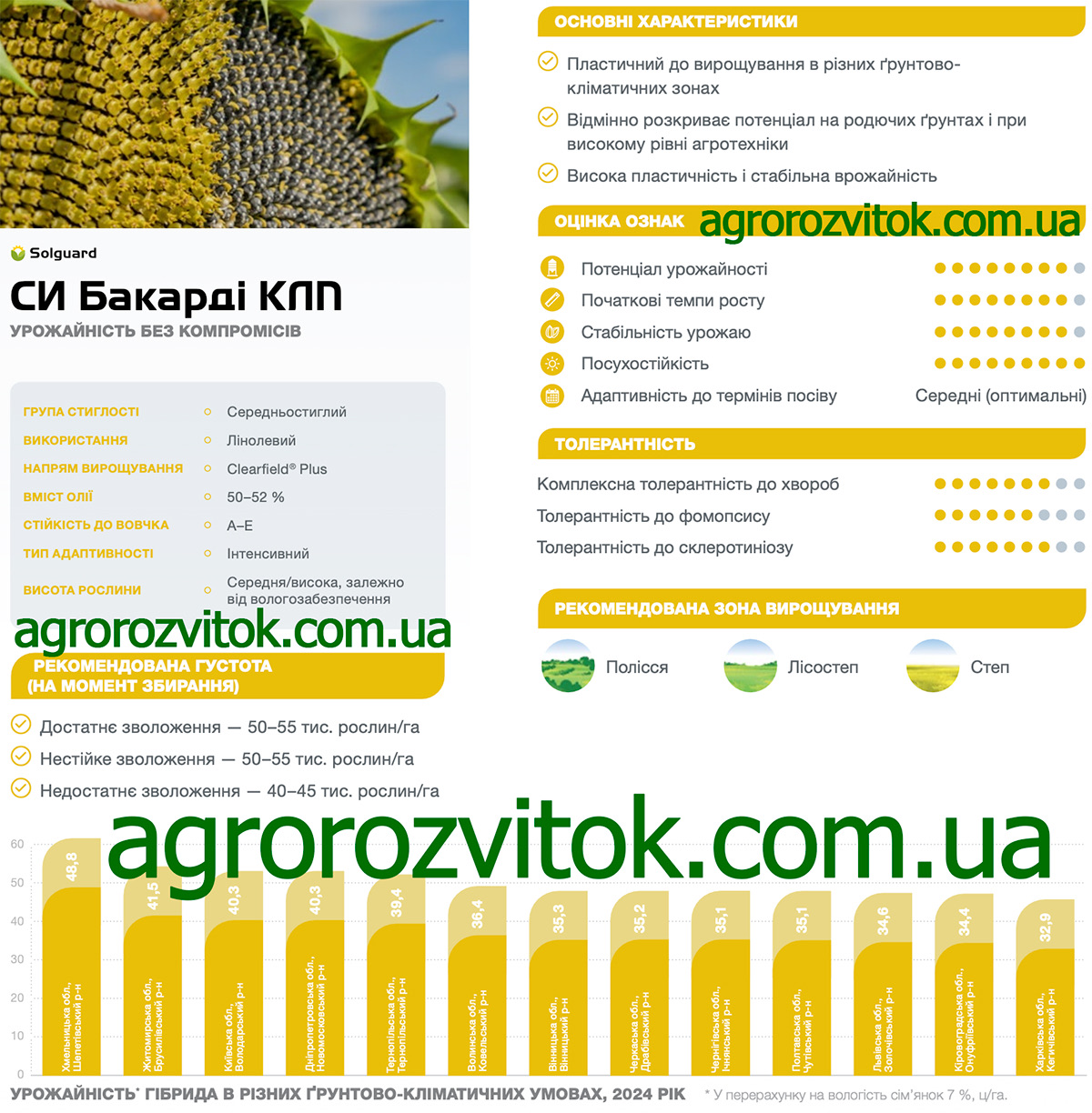 Соняшник СИ Бакарді КЛП Сингента