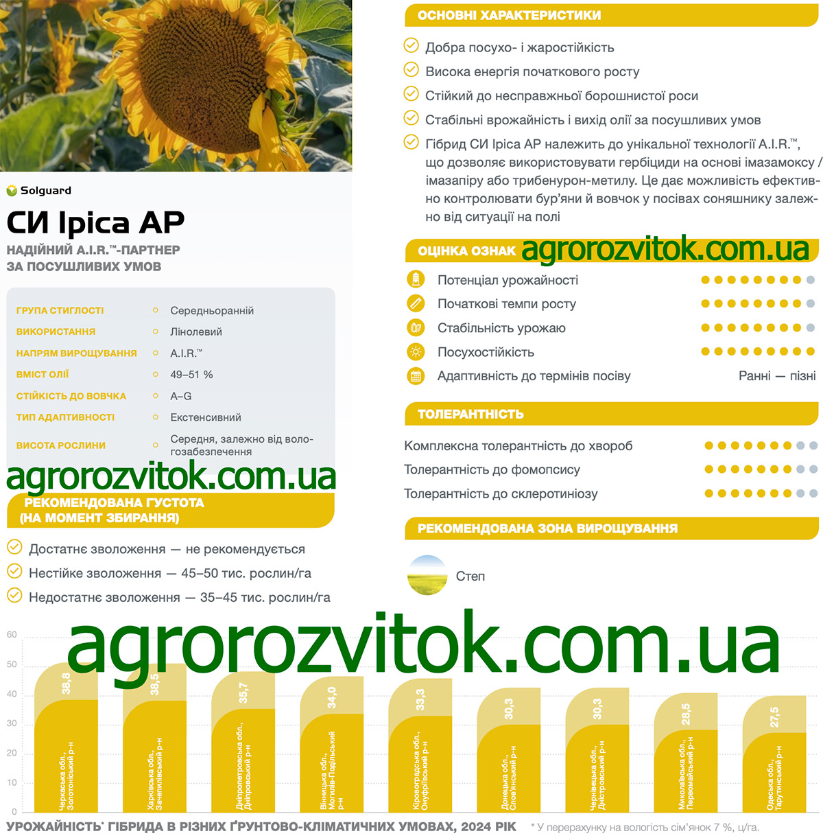 Соняшник СИ Іріса АР Сингента