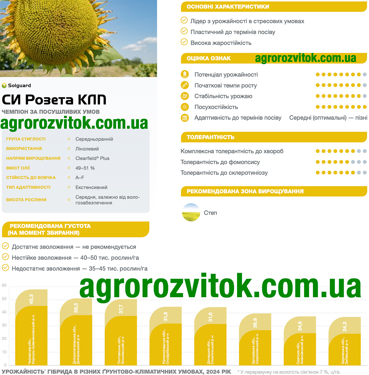 Соняшник СИ Розета КЛП Сингента Соняшник СИ Розета КЛП Сингента