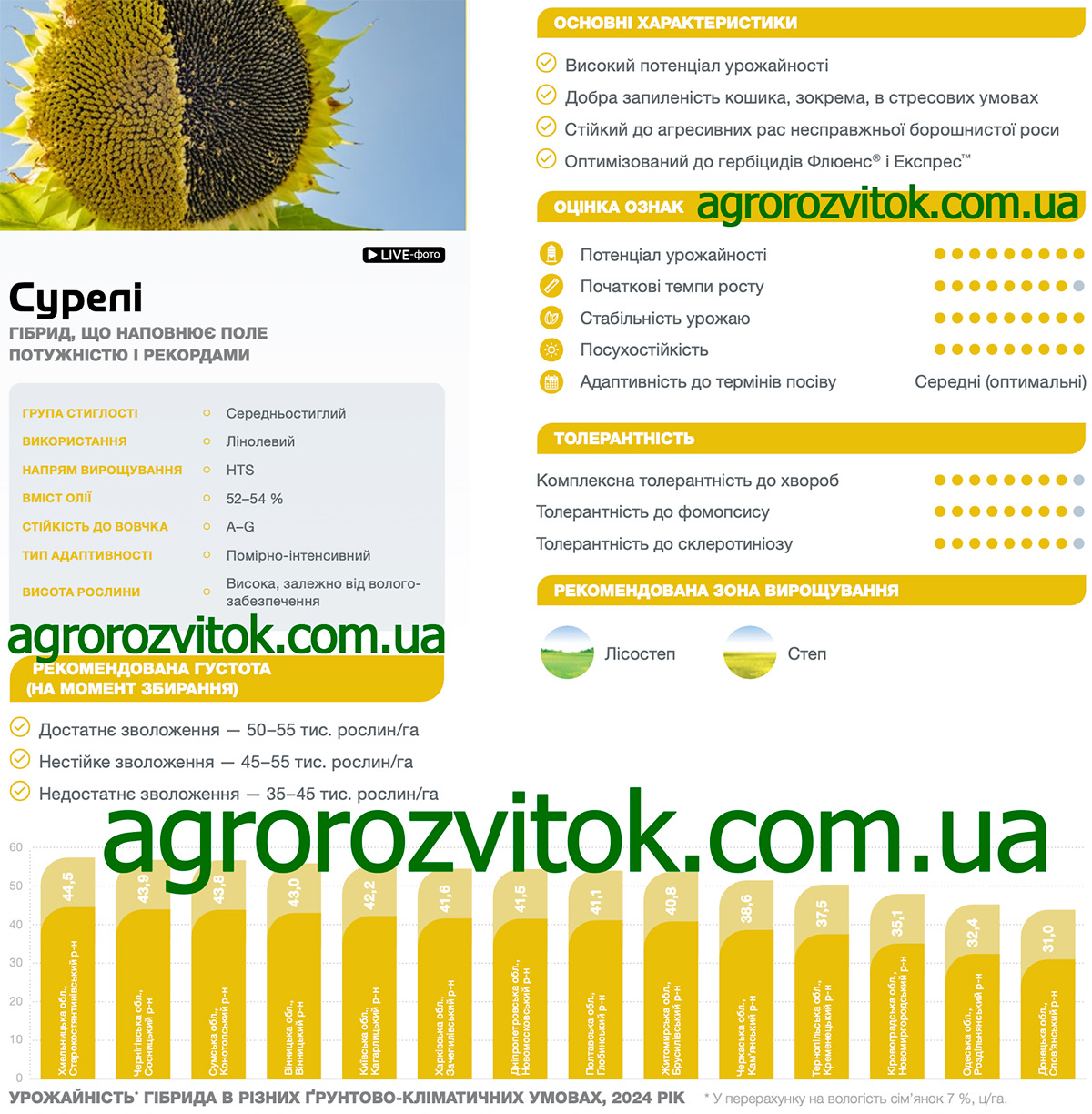 Соняшник Суомі Сингента
