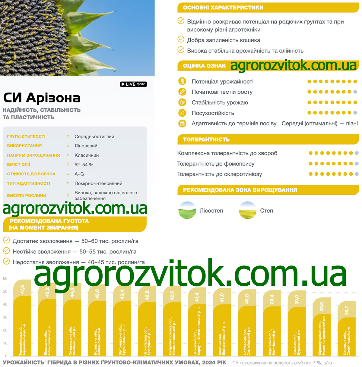Соняшник Арізона Сингента