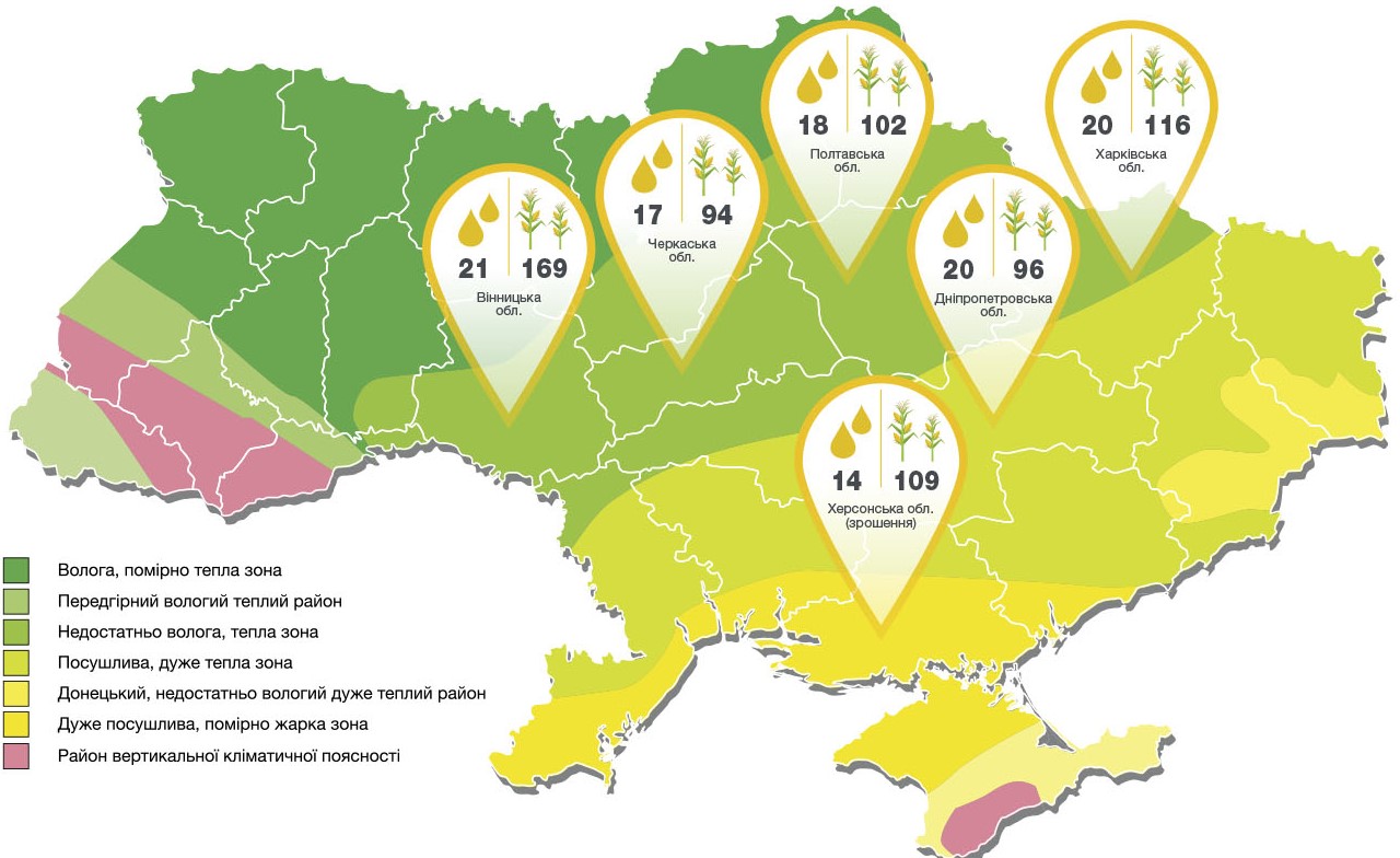 Кукурудза Енермакс