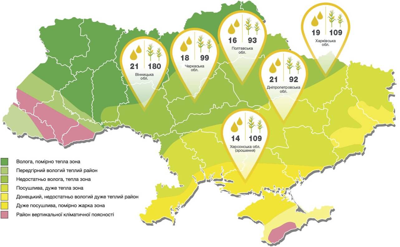 Кукурудза Орфеус Врожайність