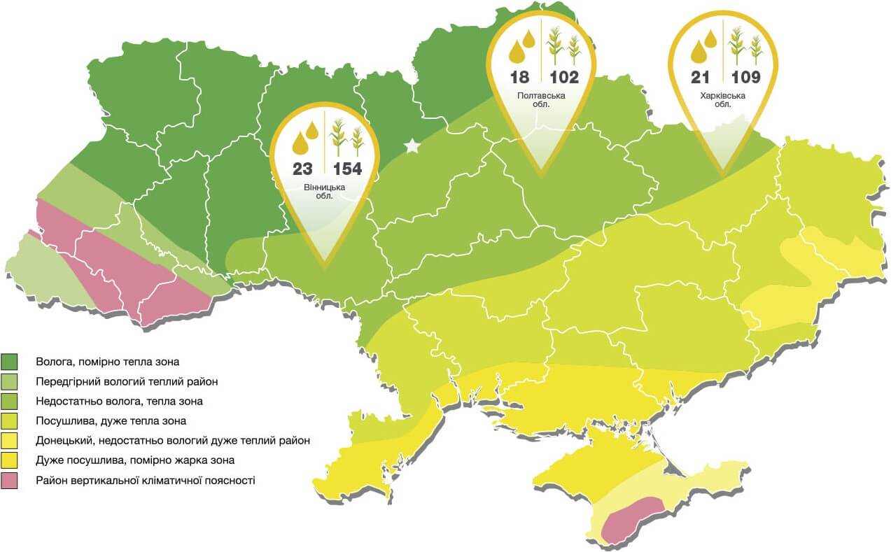 кукурудза Пандорас врожайність