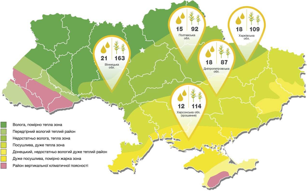 урожайність кукурудзи Скорпіус