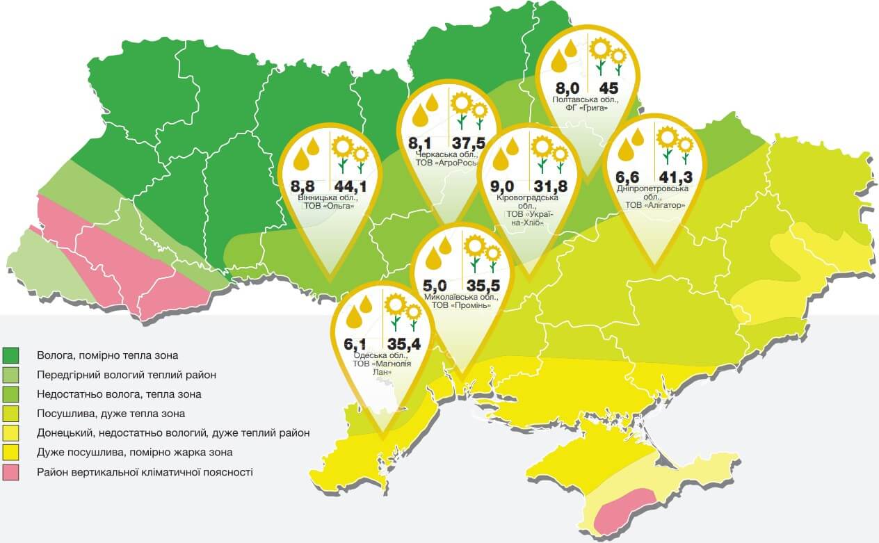 Врожайність соняшнику Субаро Сингента