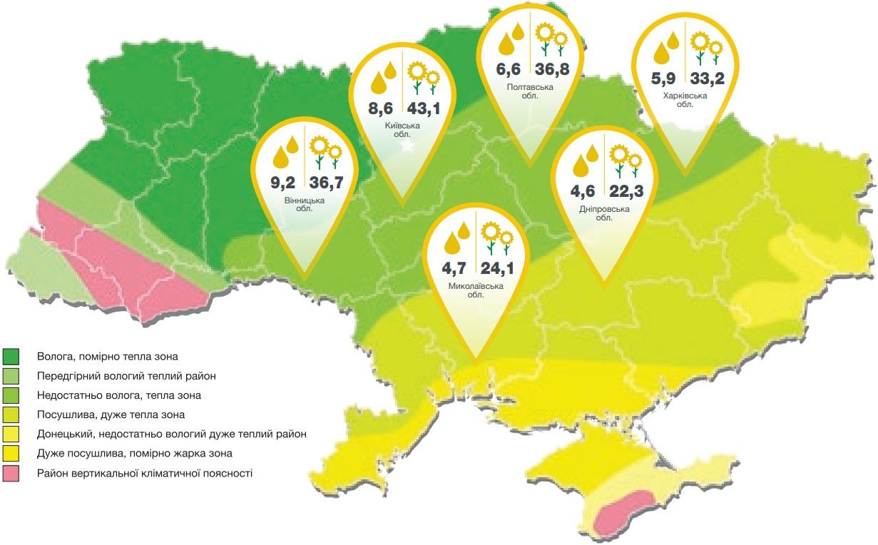 Врожайність соняшнику Суматра Сингента