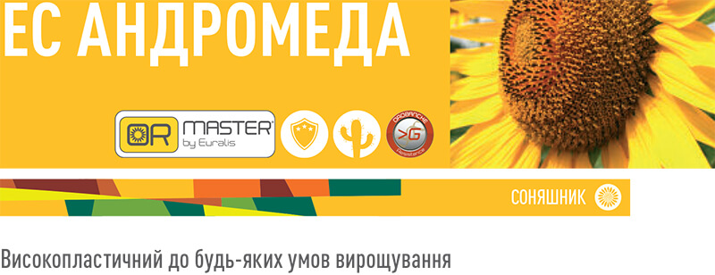 Соняшник Андромеда Євраліс