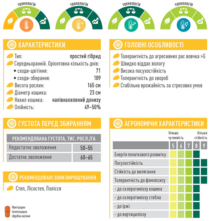 соняшник Андромеда Євраліс характеристики