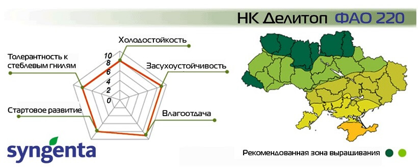 Насіння Кукурудзи Делітоп Сингента