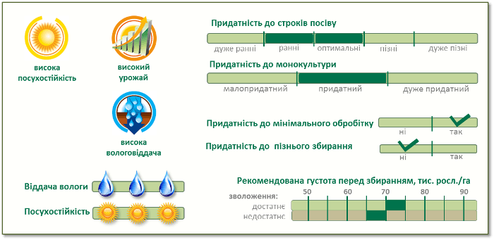 Насіння Кукурудзи П9074 (P9074) характеристики