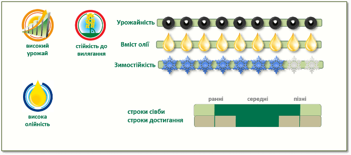 Переваги ріпаку ПР46В20 (46W20)