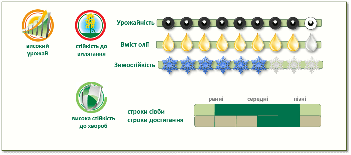 Переваги озимого ріпаку PT200CL ПТ200ЦЛ