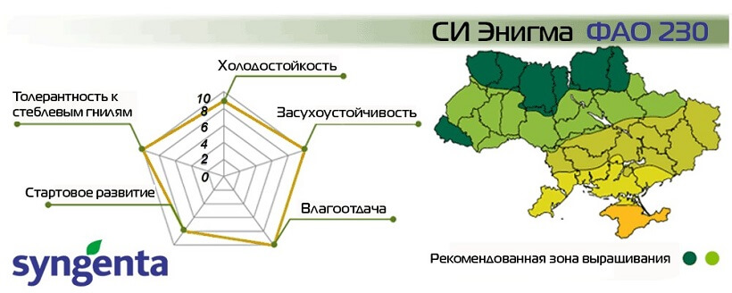 Семена Кукурузы СИ Энигма Форс ЗЕА Сингента