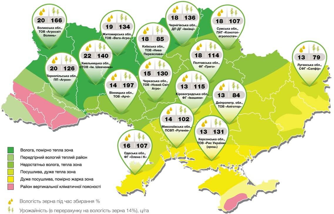 Семена кукурузы СИ Чоринтос