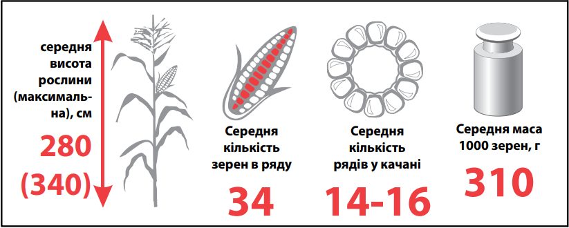 Джоді (JODIE) Лімагрейн