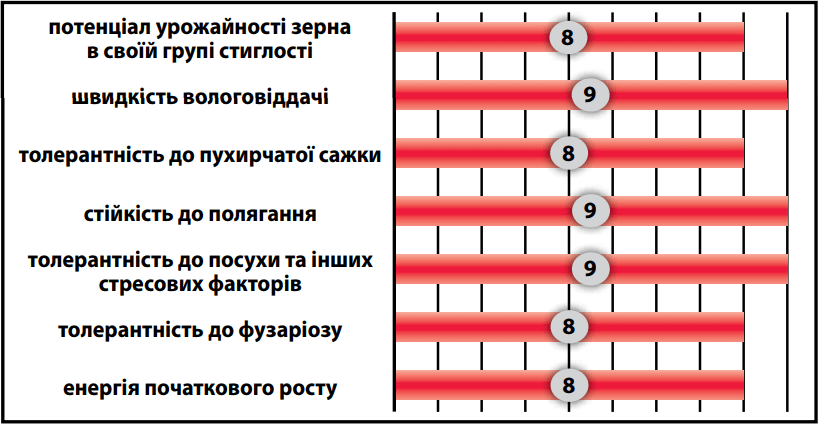 купити Насіння Кукурудзи ЛГ 30360 (LG 30.360) Лімагрейн