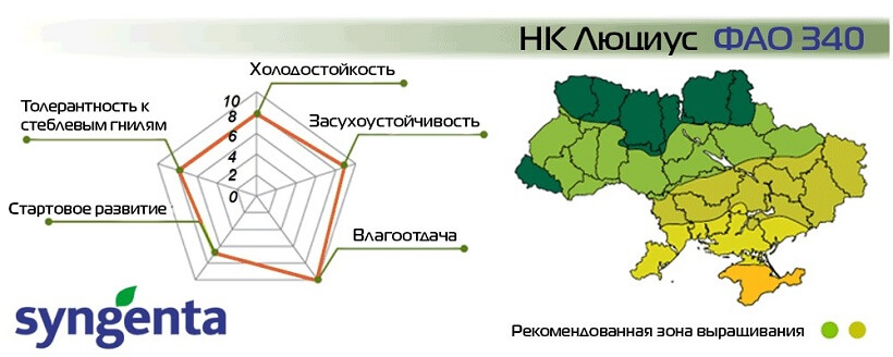 Насіння Кукурудзи НК Луціусе Сингента