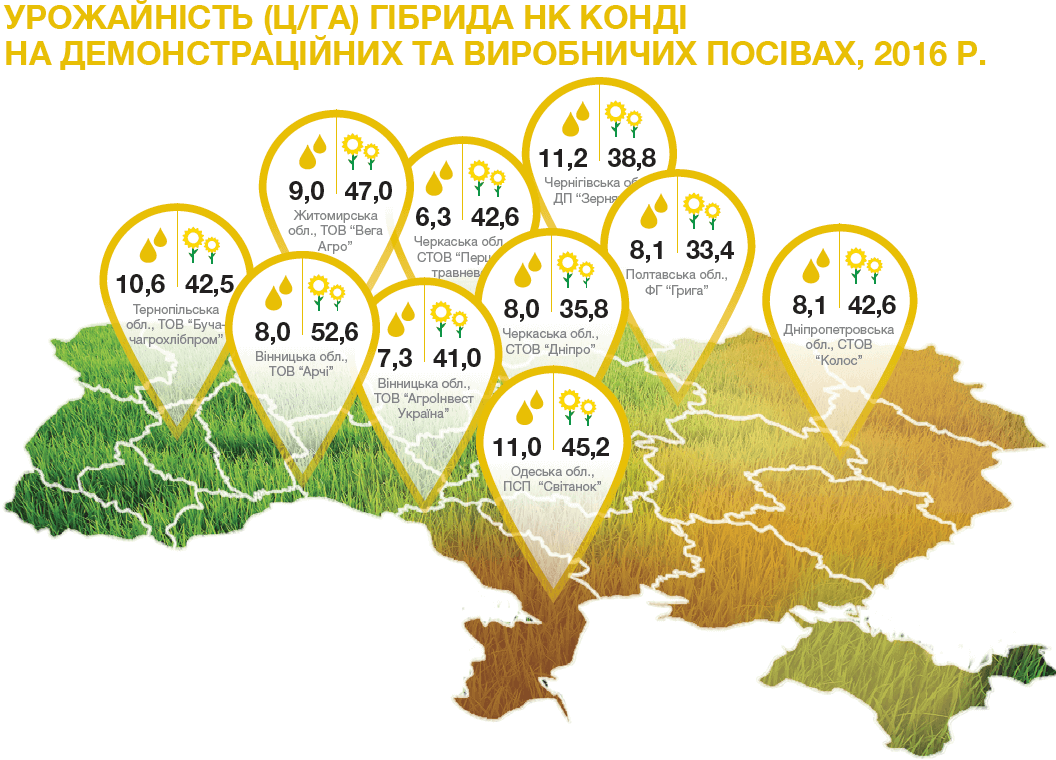 урожайність насіння соняшника НК Конді в Україні