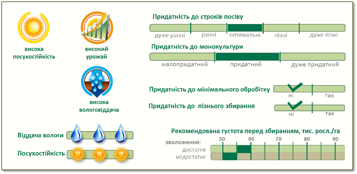 Насіння Кукурудзи П0216 (P0216) Піонер Характеристики
