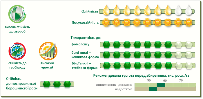 Характеристики соняшнику Піонер P64НЕ118