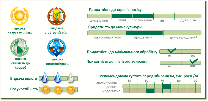 Насіння Кукурудзи П9241 (P9241) AQUAmax Піонер