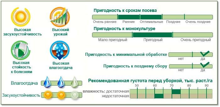 Насіння Кукурудзи П9400 (P9400) Піонер