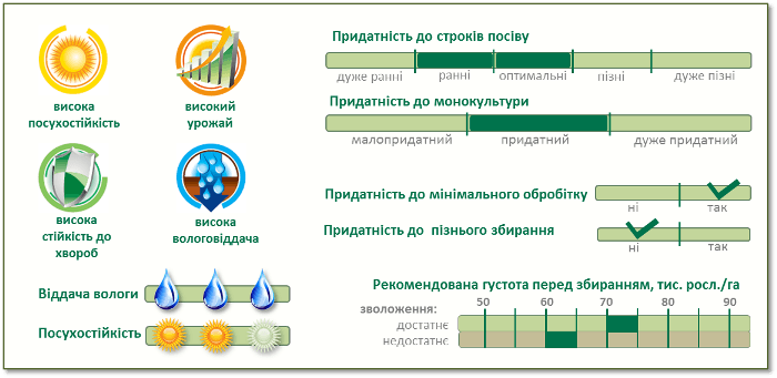 Насіння Кукурудзи П9578 (P9578) Піонер Характеристики