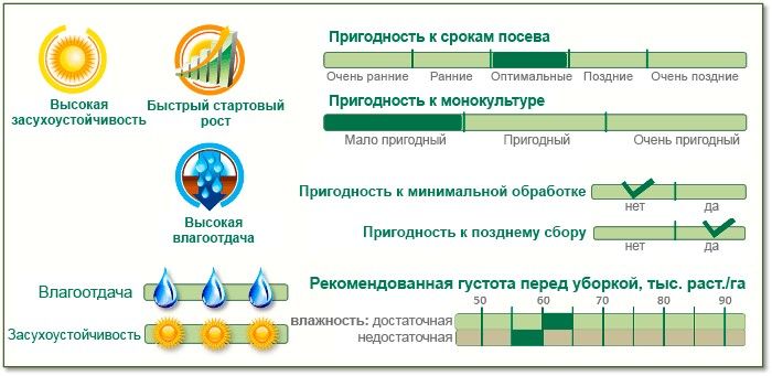 Насіння Кукурудзи П9721 (P9721) Піонер