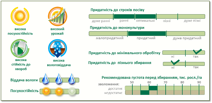 Насіння Кукурудзи ПР37Н01 (PR37N01) Піонер Характеристики