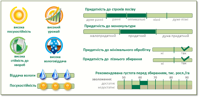 Насіння Кукурудзи ПР37І12 (PR37Y12) Піонер Характеристики