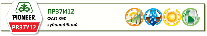 Насіння Кукурудзи ПР37І12 (PR37Y12) Піонер