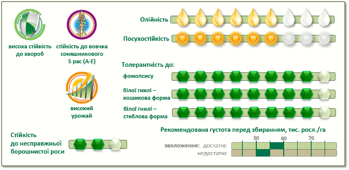 ПР64Ф50 насіння соняшнику характеристики