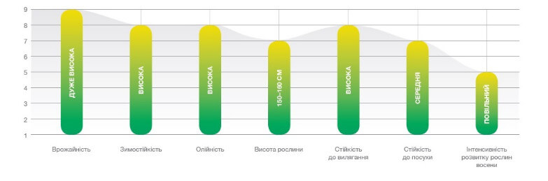 Агрономічні характеристики ріпаку Мартен